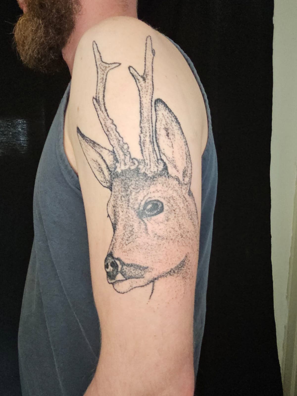 Tattoo Hirsch